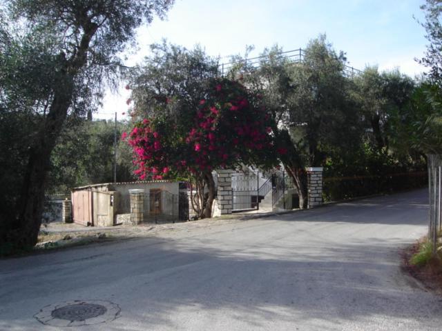 Natsios Apartments Vlachopoulátika Exteriér fotografie